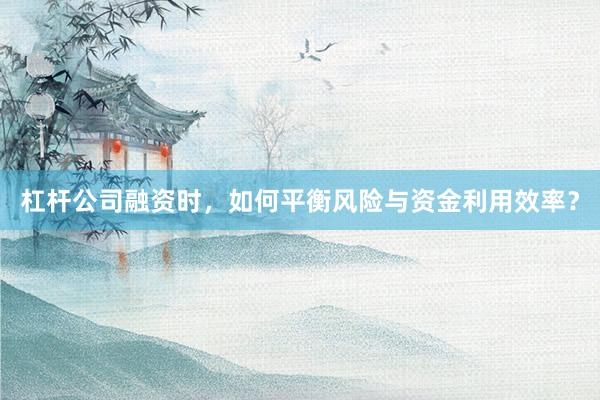 杠杆公司融资时，如何平衡风险与资金利用效率？