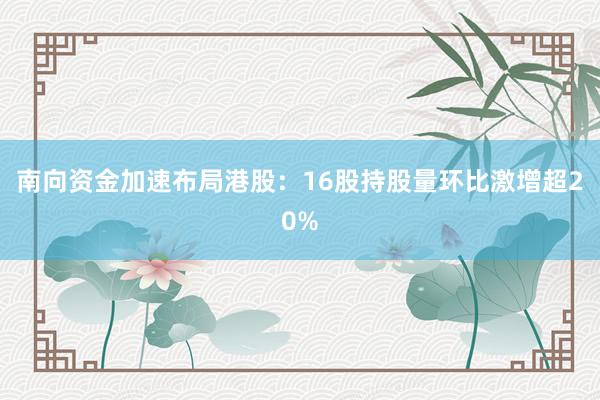 南向资金加速布局港股：16股持股量环比激增超20%