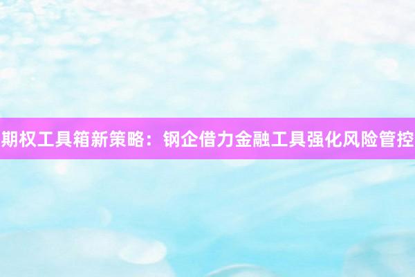 期权工具箱新策略:钢企借力金融工具强化风险管控