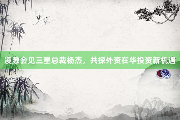 凌激会见三星总裁杨杰，共探外资在华投资新机遇