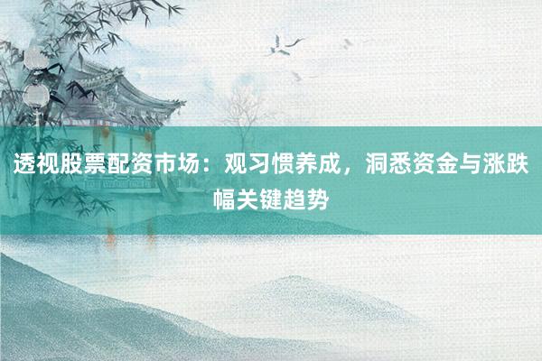 透视股票配资市场：观习惯养成，洞悉资金与涨跌幅关键趋势