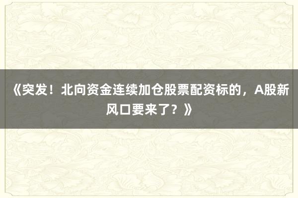 《突发！北向资金连续加仓股票配资标的，A股新风口要来了？》