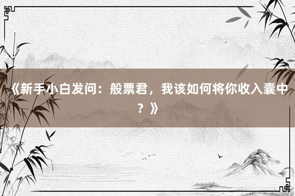 《新手小白发问：般票君，我该如何将你收入囊中？》