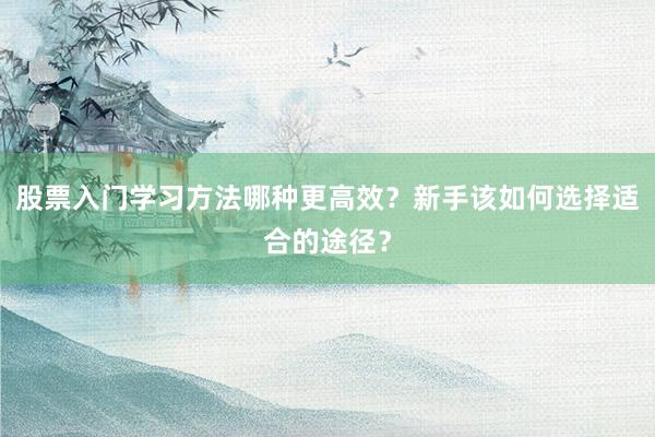 股票入门学习方法哪种更高效？新手该如何选择适合的途径？