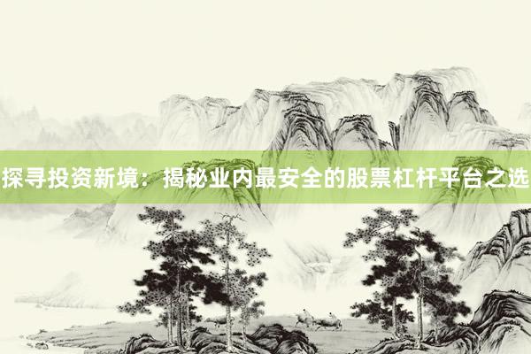 探寻投资新境：揭秘业内最安全的股票杠杆平台之选