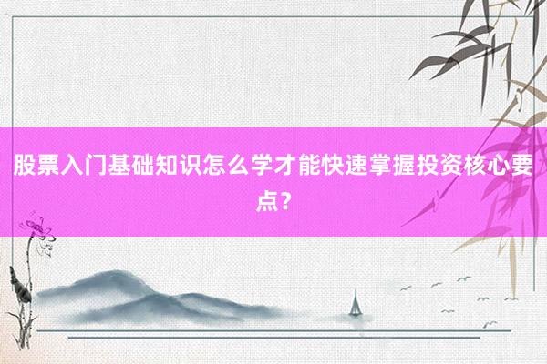 股票入门基础知识怎么学才能快速掌握投资核心要点？